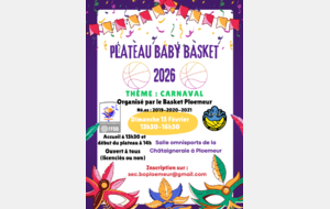 Plateau Baby Basket 2026